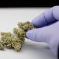 Understanding Medical Marijuana in the UK