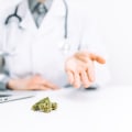 Understanding Patient Education and Support: A Comprehensive Look at Cannabis Clinics in the UK
