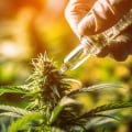 Understanding Edibles and Tinctures for Medical Cannabis Treatment in the UK