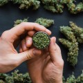 Treating Anxiety and Depression with Medical Marijuana