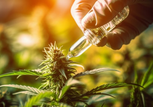 Understanding Edibles and Tinctures for Medical Cannabis Treatment in the UK