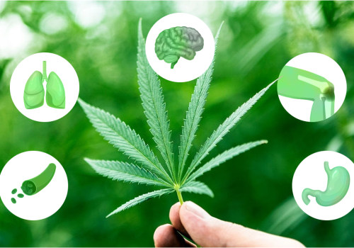 Different Effects on the Body and Mind: Understanding the Benefits and Uses of Medical Cannabis